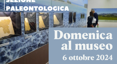 LA SOPRINTENDENZA ARCHEOLOGIA BELLE ARTI E PAESAGGIO PER LE PROVINCE DI CASERTA E BENEVENTO APRE I SUOI SITI GRATUITAMENTE SABATO 5 OTTOBRE, PER LA DOMENICALMUSEO DEL 6 OTTOBRE E VENERDI’ 11 OTTOBRE 2024